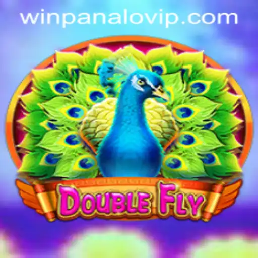 Discover the Exciting World of DoubleFly
