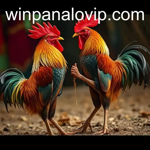 The Thrilling World of Online Sabong: Winpanalo